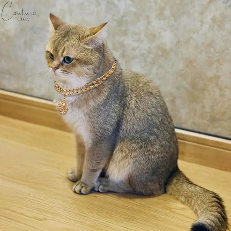 Bell Fashion Jewelry For Cats Pet Expert