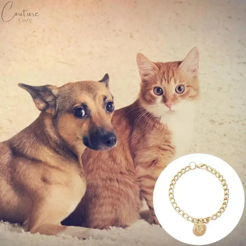 Bell Fashion Jewelry For Cats Pet Expert