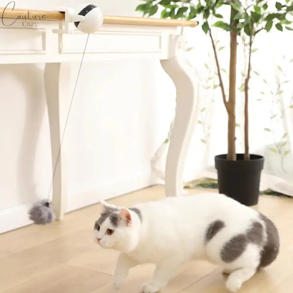 Electronic Motion Cat Teaser Toy Pet Expert