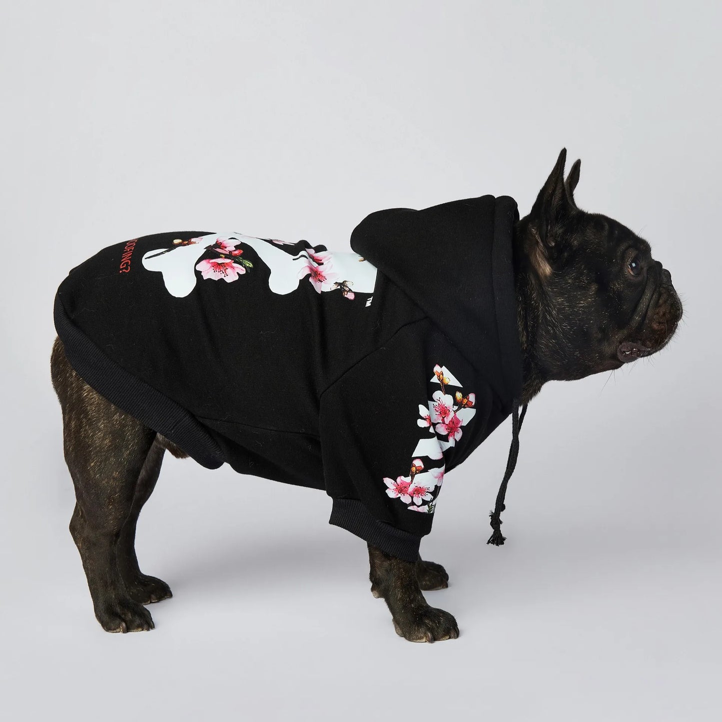 NONOR Dog Clothes WOOF Fashion Sakura Dog Jacket Pet Dog Hoodies Winter French Bulldog Pugs Sports Dog Jacket M-4XL
