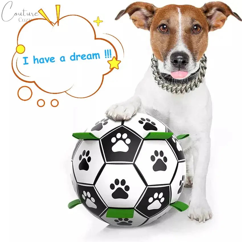 Specially Designed Dog Football Pet Expert