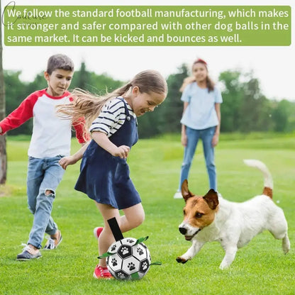 Specially Designed Dog Football Pet Expert